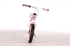 Yipeeh Loopfiets 12 inch Rose Roze
