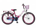 Afbeelding van Meisjesfiets Popal Angel 77 Roze 22 Inch