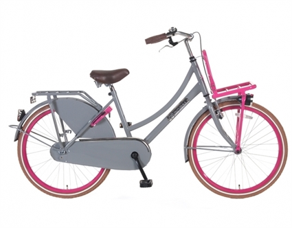 Afbeelding van Meisjesfiets Popal Daily Dutch Select ZD24 Grijs Roze 24 Inch
