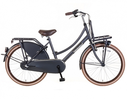 Afbeelding van Omafiets Popal Daily Dutch Basic Plus TR24N3 Petrol 24 Inch