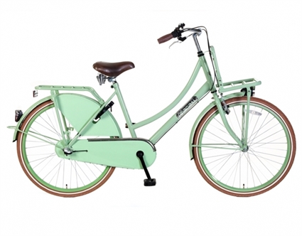 Afbeelding van Meisjesfiets Popal Daily Dutch Basic Plus TR26N3 Pistache 26 Inch