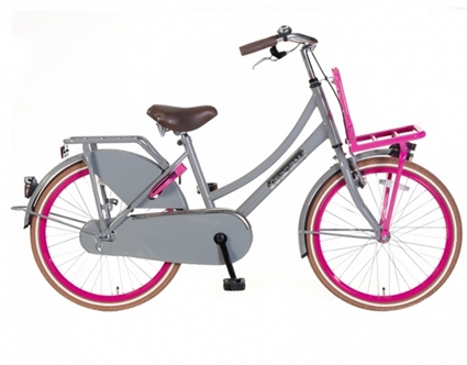 Afbeelding van Meisjesfiets Popal Daily Dutch Basic ZD22 Grijs Roze 22 Inch