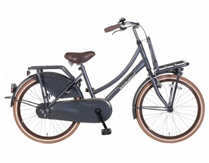 Afbeelding van Meisjesfiets Popal Daily Dutch Basic ZD22 Petrol 22 Inch